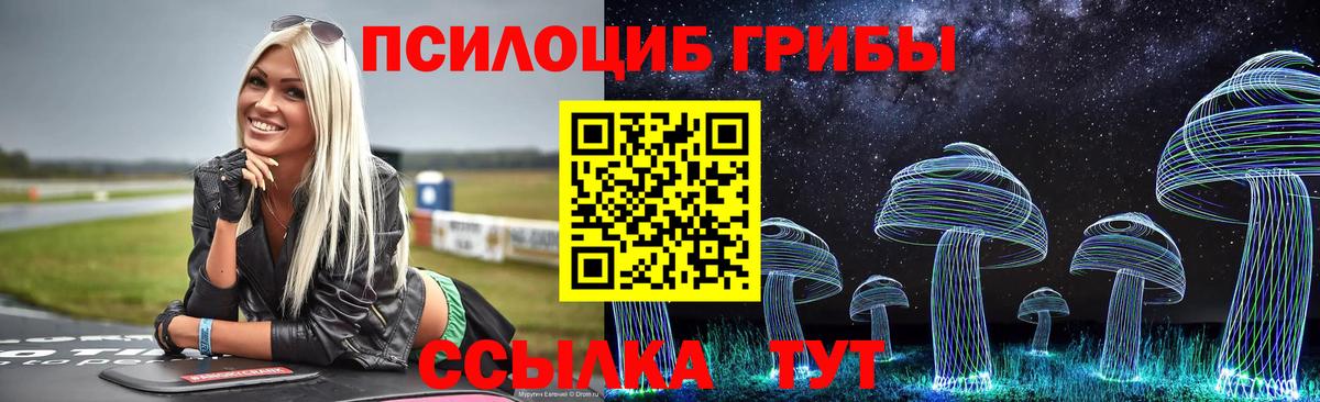 Галлюциногенные грибы Psilocybine cubensis  Псилоцибиновые грибы MAGIC MUSHROOMS  Вход с VPN  купить   Шатура 